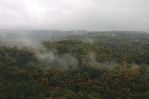 Ein weiter Blick von oben auf einen nebelschwadenumtanzten Herbstwald..